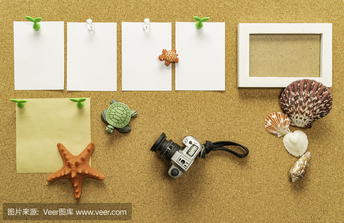 四張空白白紙,一張空白黃紙,配相框、相機、海貝、海星、海龜